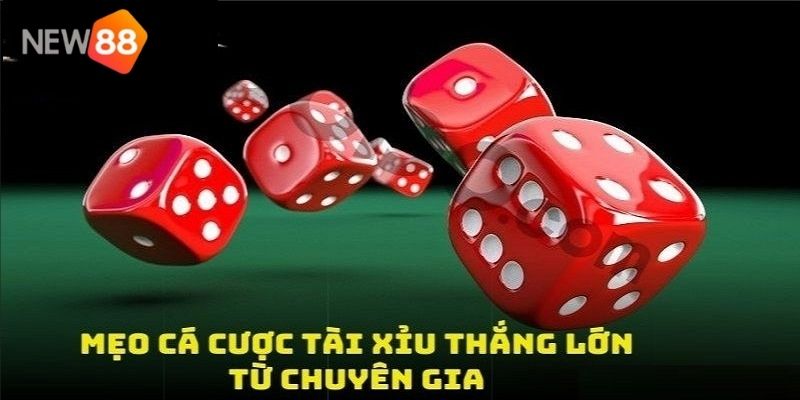 Cửa cược phổ biến game tài xỉu bạn được biết