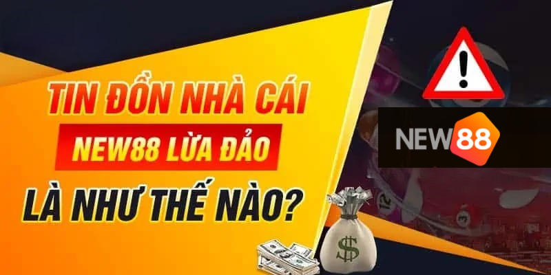 Nguyên nhân xuất hiện thông tin nhà cái New88 lừa đảo