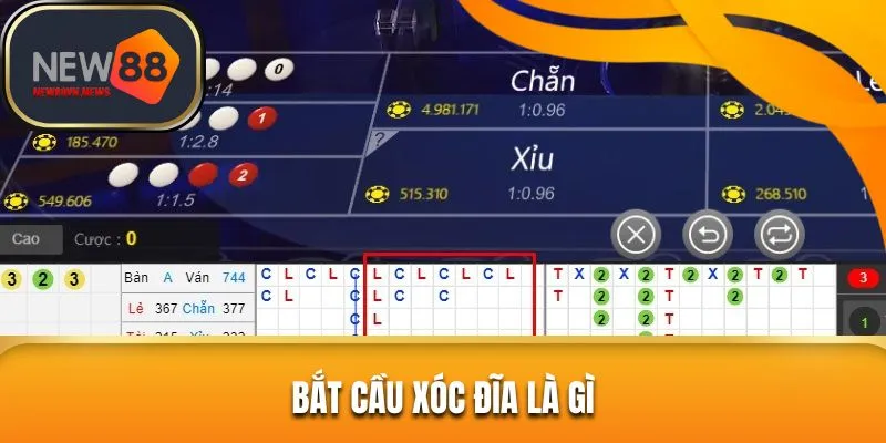 Định nghĩa cơ bản về khái niệm bắt cầu xóc đĩa là sao