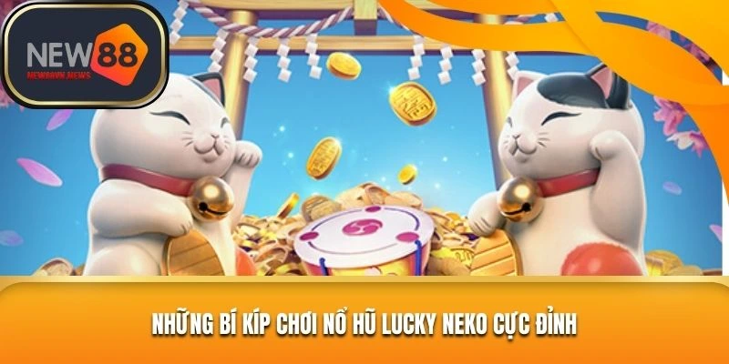 Bí kíp giúp quá trình chơi Lucky Neko thêm hiệu quả và dễ chiến thắng