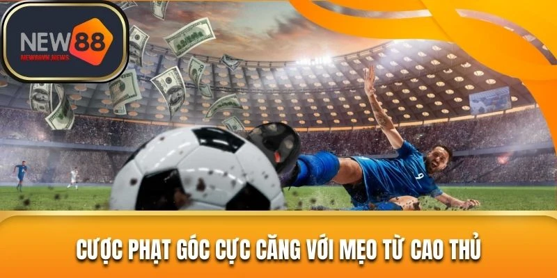 Cược phạt góc cực căng với mẹo từ cao thủ