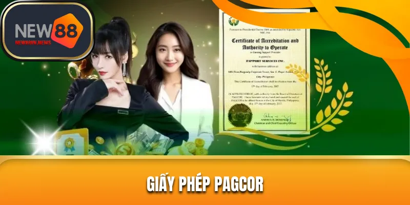 giay-phep-pagcor-anh-dai-dien