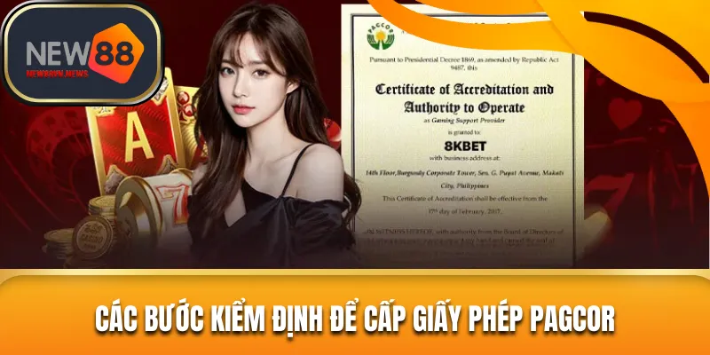 Các bước kiểm duyệt và cấp chứng chỉ PACOR dễ hiểu nhất 