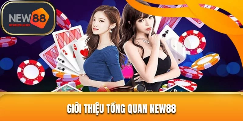 Giới thiệu New88 đẳng cấp nhất