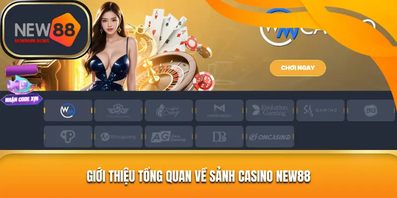 Giới thiệu tổng quan về sảnh casino NEW88