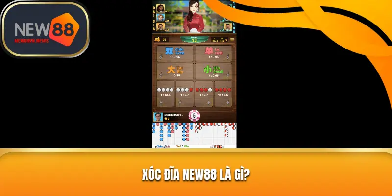 Xóc đĩa NEW88 là gì?