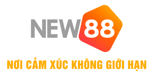 nnnew88.com